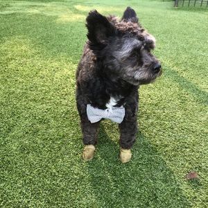 Meet your Posher, Gabriela